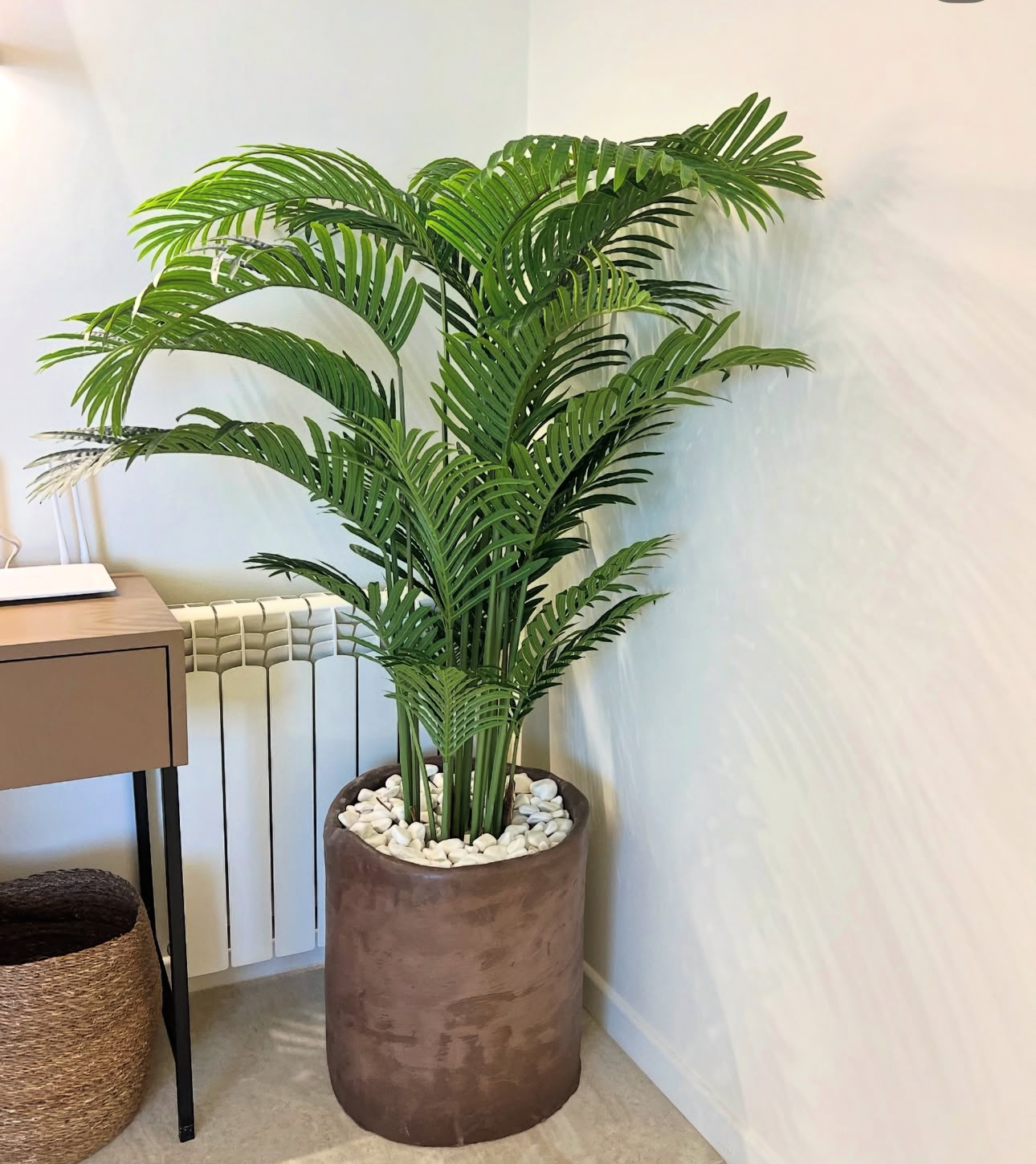 Top Indoor Plants That Survive UAE Heat (2026 Guide) | Desertblooms