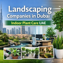Landscaping Companies in Dubai | Indoor Plant Care UAE
