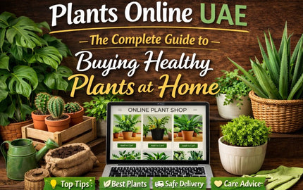 Plants Online UAE