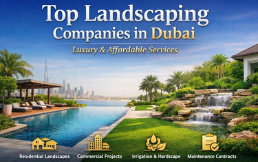 Top Landscaping Artificial Plants Companies in Dubai | Luxury & Affordable Services