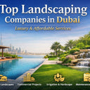 Top Landscaping Companies in Dubai | Luxury & Affordable Services
