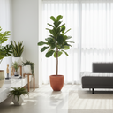 Plant Rental Landscape UAE | Affordable Plant Rental Landscape UAE for Modern Spaces