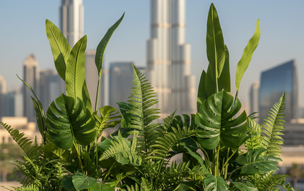 Artificial Outdoor Plants Dubai