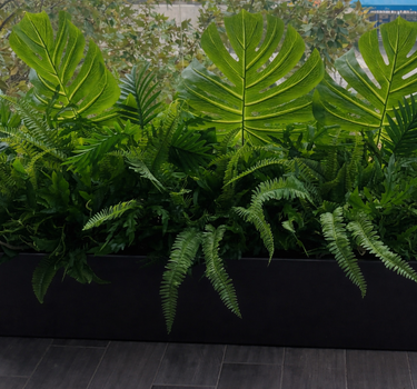 Artificial Plant Combo in Black Pot