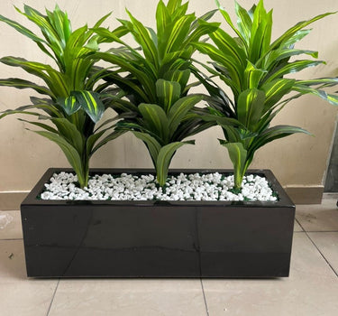 Artificial Plant Dracaena in Rectangle Pot