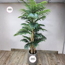 Artificial Areca (2.5m) Plants UAE. Artificial palm tree in a pot on a wooden floor with a white wall background.