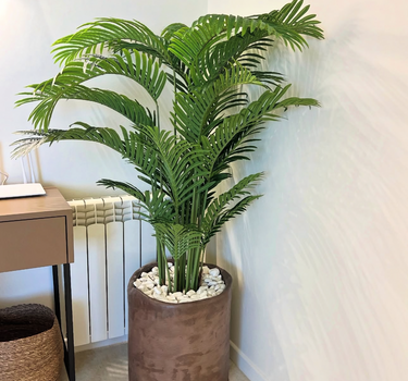 Artificial Areca in Rustic Indoor Plants UAE. Potted plant in a room with a desk and radiator