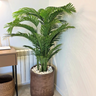 Artificial Areca in Rustic Indoor Plants UAE. Potted plant in a room with a desk and radiator