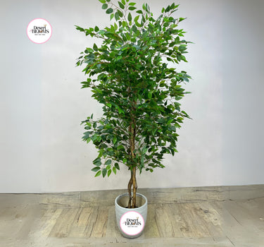 Artificial Benjamina Indoor and Outdoor Plants Dubai. Potted artificial tree with green leaves on a wooden floor against a white wall, branded 'Desert Blooms'.