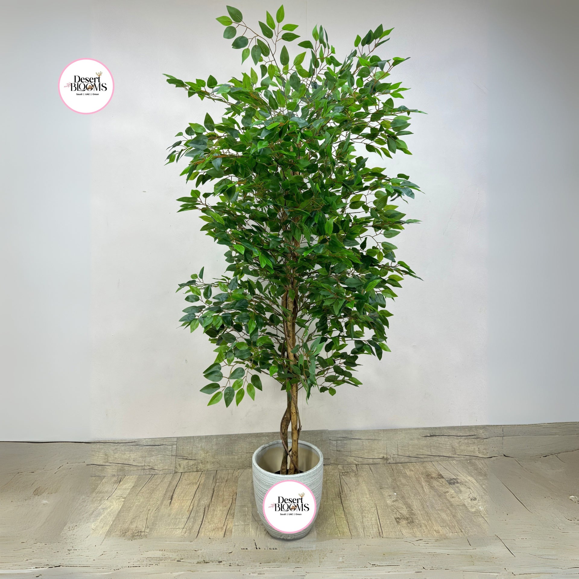 fejka artificial potted plant weeping fig Artificial Benjamina Indoor and Outdoor Plants Dubai – Desert Blooms