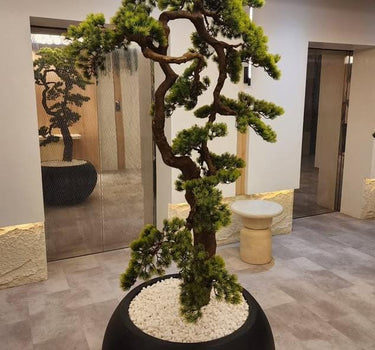 Artificial Bonsai Plants Dubai. Potted bonsai tree in a room with a mirror reflecting the interior.