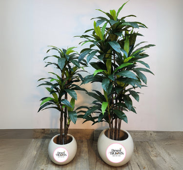 Artificial Cheap Bundle Plants UAE. Two potted plants with 'Desert Blooms' logo on a wooden floor against a white wall.