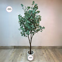 Artificial Eucalyptus Plant Shop Dubai. Artificial eucalyptus tree in a pot with 'Desert Blooms' branding on a plain background.