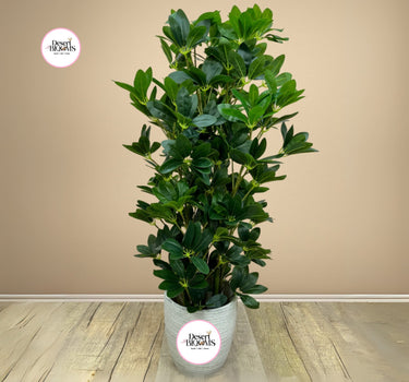 Artificial Five Finger Indoor Plants Dubai. Potted plant on a wooden floor with a beige wall background, featuring the Desert Blooms logo.