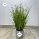 Artificial Green Grass Home Decor UAE. Potted plant with decorative pot on a wooden floor, featuring 'Desert Botanicals' branding.