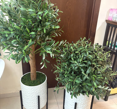 Artificial Olive Plant with Plant Stand, UAE. Two potted plants on stands against a wooden door.