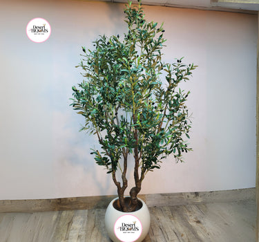 Artificial Olive Premium Plants UAE. Potted artificial olive tree with 'Desert Blooms' branding on a plain background