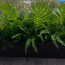 Artificial Plant Combo in Black Pot Plants UAE.Tall black rectangular planter with lush green plants on a wooden floor.