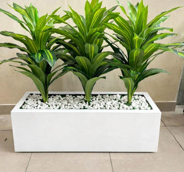 Artificial Plant Dracaena in Rectangle Pot Indoor Plants Dubai. Three green leafy plants in a white rectangular planter with decorative stones on a beige floor.