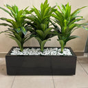 Artificial Plant Dracaena in Rectangle Pot Indoor Plants UAE. Three green leafy plants in a black rectangular planter with white stones on a tiled floor.