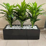 Artificial Plant Dracaena in Rectangle Pot Indoor Plants UAE. Three green leafy plants in a black rectangular planter with white stones on a tiled floor.