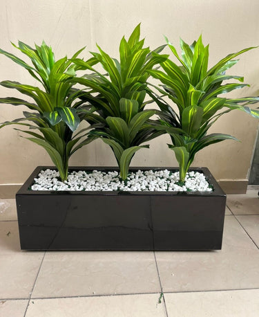 Artificial Plant Dracaena in Rectangle Pot Indoor Plants UAE. Three green leafy plants in a black rectangular planter with white stones on a tiled floor.