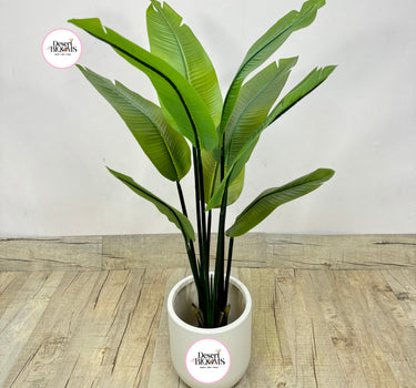 Artificial Travellers Med 130cm Plants Dubai. Potted plant on a wooden floor with 'Desert Blooms' logo.