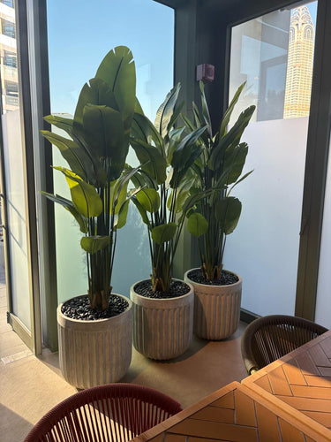 indoor plants sharjah Artificial Travellers Palm Indoor Plants UAE – Desert Blooms