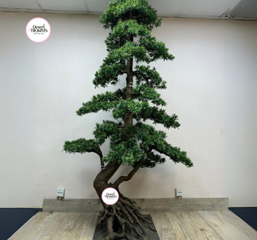 Artificial Bonsai 2.5m  to 3meter Premium