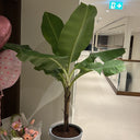 Banana Big in Ceramic Pot Plants Dubai. Potted plant in a room with balloons and a bouquet of flowers on a table.