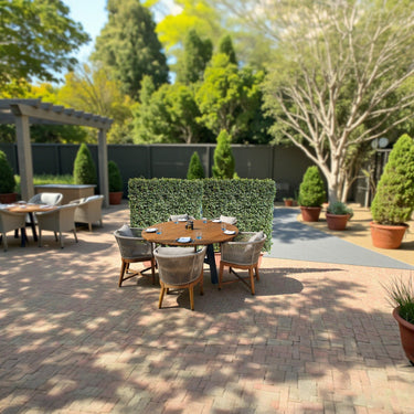 Ehretia Microphylla Hedge Shape 1 m 2