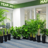 Office Plants Bundle 14pc Premium Plants UAE. Row of potted plants in an office setting with a New Year 2022 banner.
