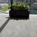 Office Plants in Rectangle Pot Plants Dubai. Black planter with green plants on a textured floor with buildings in the background 