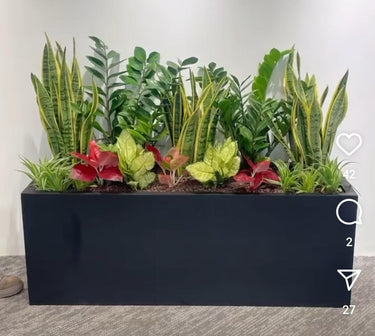 Office indoor Rectangle Pot Plants Dubai. Collection of various potted plants in a black rectangular planter against a white wall.