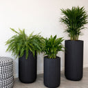 Pet Friendly Premium Bundle in Fiber Pot Plants UAE. Three black planters with green plants on a tiled floor against a white wall.