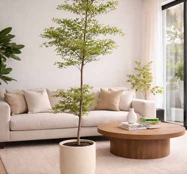 Premium Fiber Pot Plants Dubai