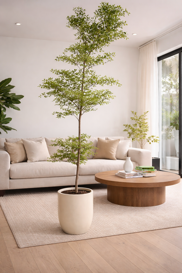 Premium Fiber Pot Plants Dubai